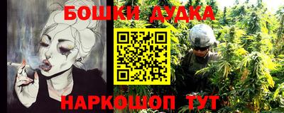 амф Новокубанск